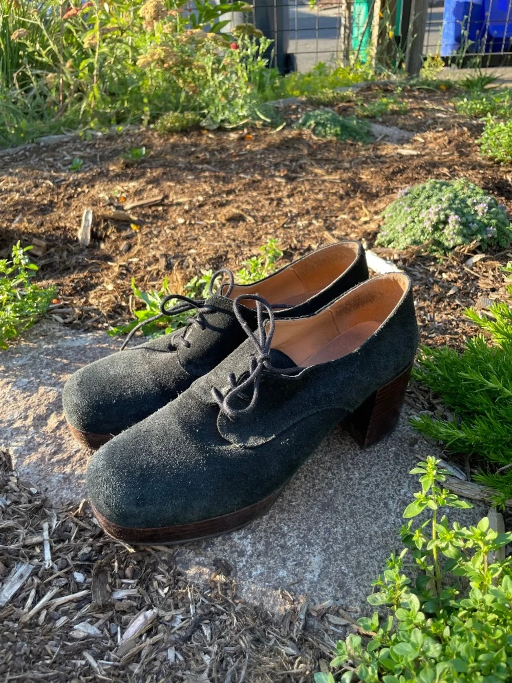 Intentionally Blank Albany Suede Block Heel Oxfords
